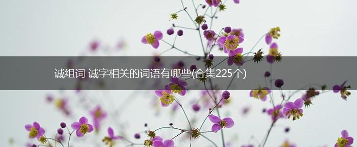 诚组词 诚字相关的词语有哪些(合集225个),第1张