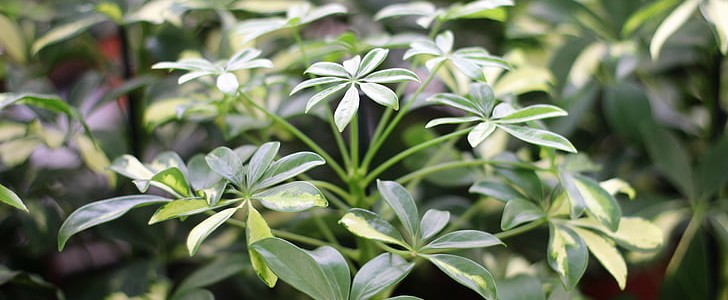 人生的故事(精选160句),第3张