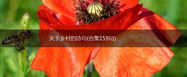 关于乡村的诗句(合集159句),第1张