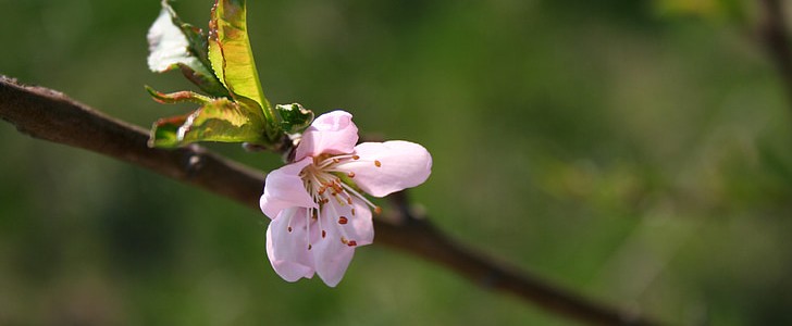 关于害怕的句子(共151句),第3张