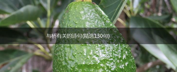 与桥有关的诗句(精选130句),第1张