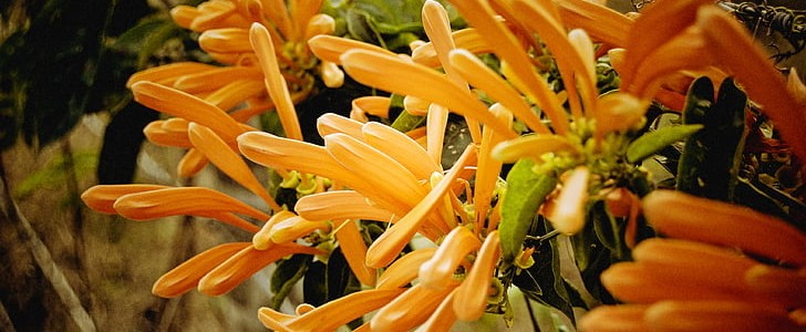 伤感古诗词爱情(实用268句),第3张