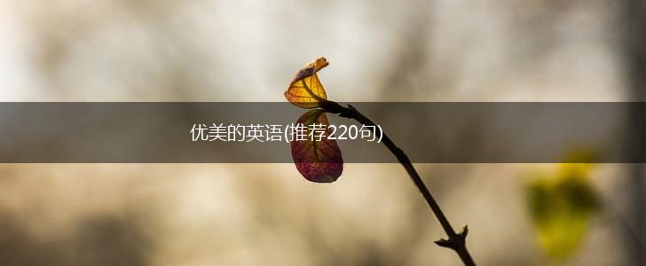 优美的英语(推荐220句),第1张