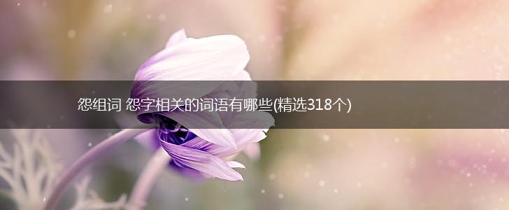 怨组词 怨字相关的词语有哪些(精选318个),第1张