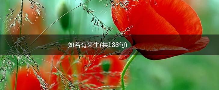 如若有来生(共188句),第1张