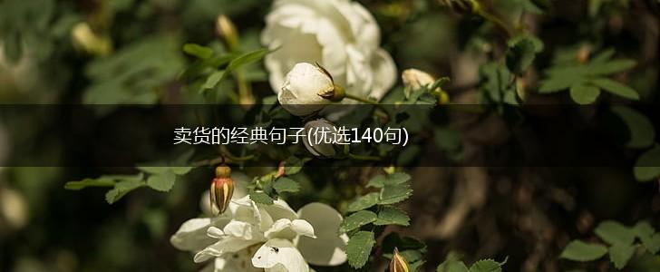 卖货的经典句子(优选140句),第1张