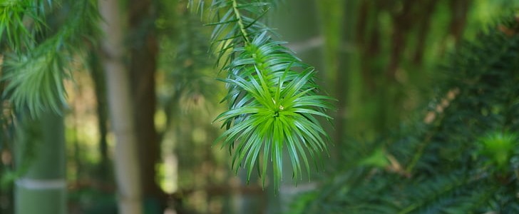 分手感人落泪的一段话(63句),第3张