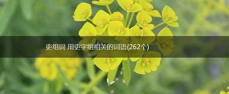 吏组词 用吏字组相关的词语(262个),第1张