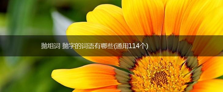 抛组词 抛字的词语有哪些(通用114个),第1张