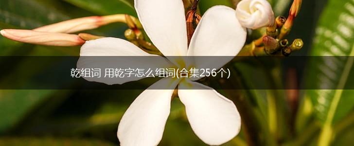 乾组词 用乾字怎么组词(合集256个),第1张
