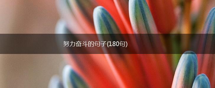 努力奋斗的句子(180句),第1张