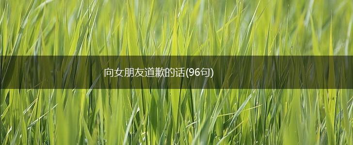 向女朋友道歉的话(96句),第1张