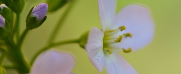 伤感的语录(合集150句),第2张
