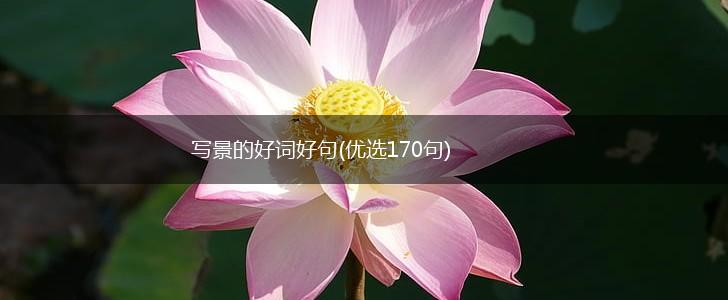写景的好词好句(优选170句),第1张