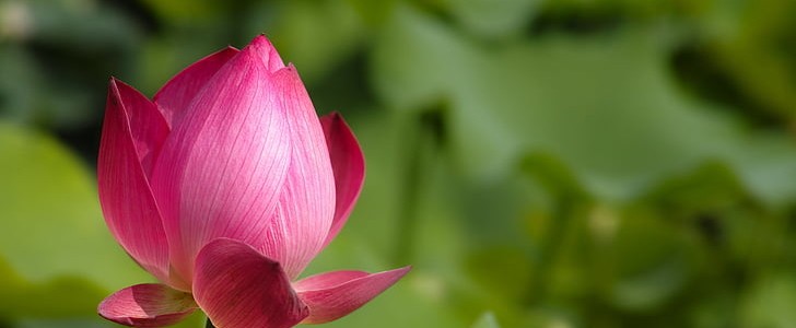 励志的经典句子(共200句),第3张
