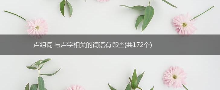 卢组词 与卢字相关的词语有哪些(共172个),第1张