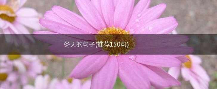 冬天的句子(推荐150句),第1张