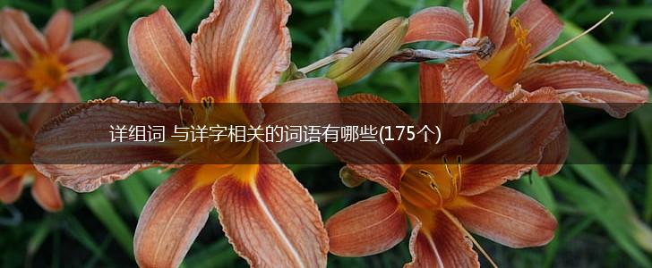 详组词 与详字相关的词语有哪些(175个),第1张