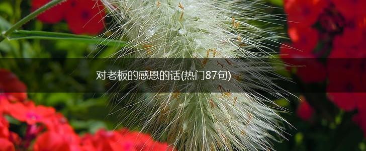 对老板的感恩的话(热门87句),第1张