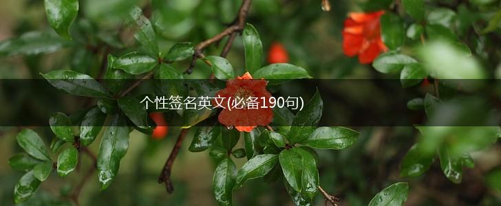 个性签名英文(必备190句),第1张