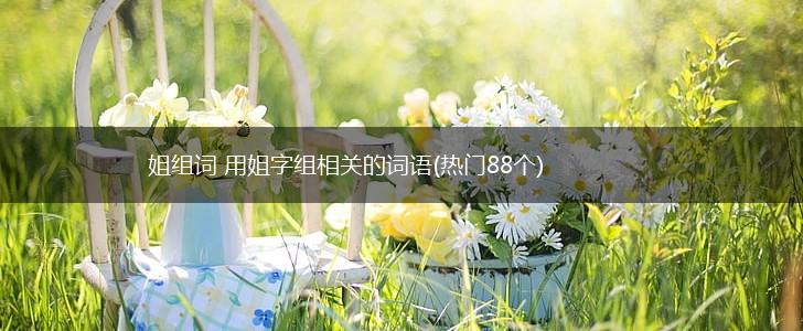 姐组词 用姐字组相关的词语(热门88个),第1张