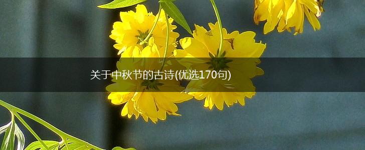 关于中秋节的古诗(优选170句),第1张
