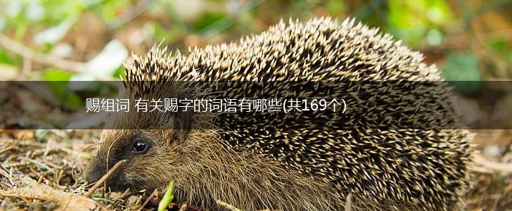 赐组词 有关赐字的词语有哪些(共169个),第1张