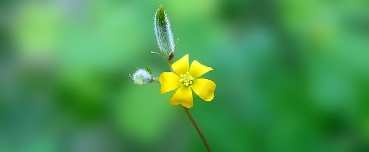 形容烟花的(共190句),第3张