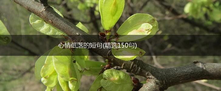 心情低落的短句(精选150句),第1张