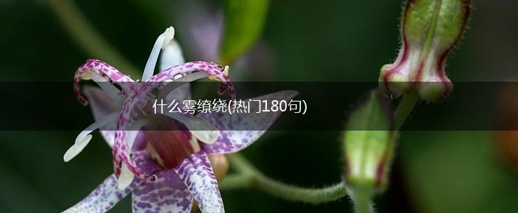 什么雾缭绕(热门180句),第1张