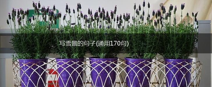 写雪景的句子(通用170句),第1张