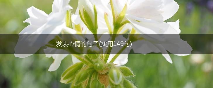 发表心情的句子(实用149句),第1张