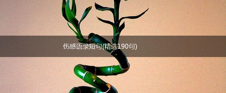 伤感语录短句(精选190句),第1张