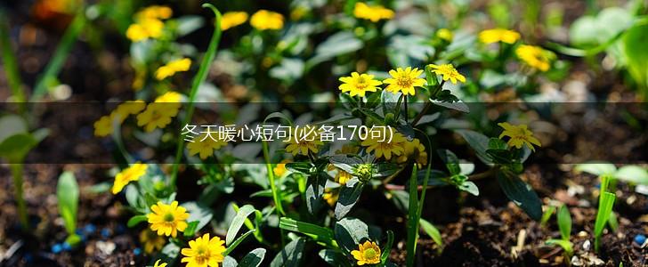 冬天暖心短句(必备170句),第1张