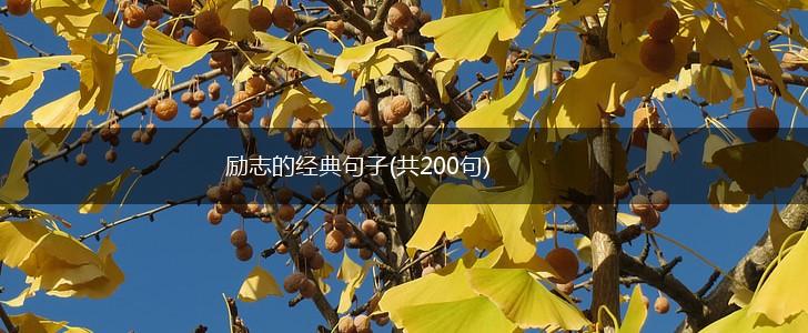 励志的经典句子(共200句),第1张