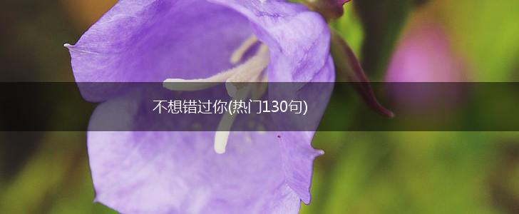 不想错过你(热门130句),第1张