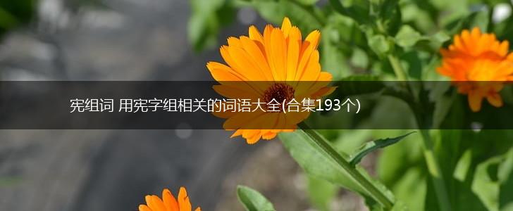 宪组词 用宪字组相关的词语大全(合集193个),第1张