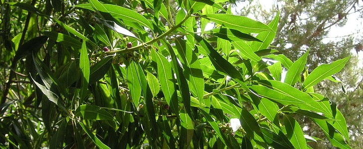 家庭的祝福语(推荐170句),第3张