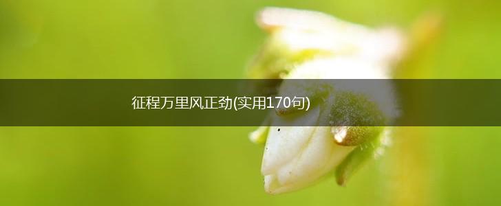 征程万里风正劲(实用170句),第1张