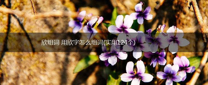 欣组词 用欣字怎么组词(实用124个),第1张