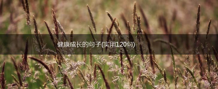 健康成长的句子(实用120句),第1张