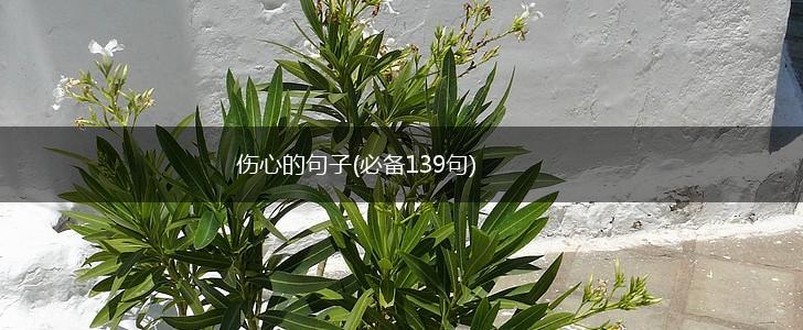 伤心的句子(必备139句),第1张