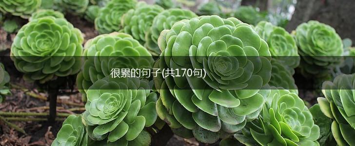 很累的句子(共170句),第1张
