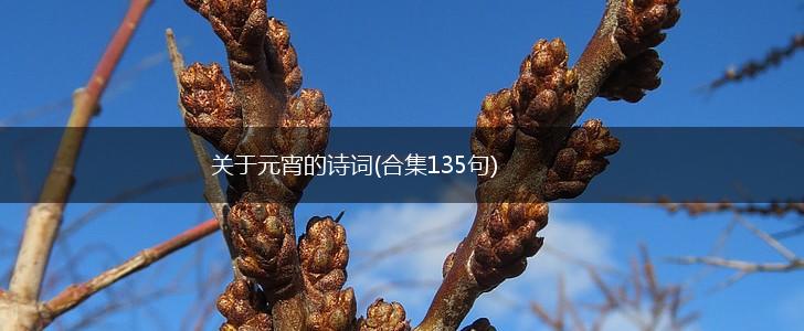 关于元宵的诗词(合集135句),第1张
