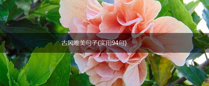 古风唯美句子(实用94句),第1张