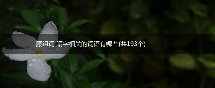 腰组词 腰字相关的词语有哪些(共193个),第1张