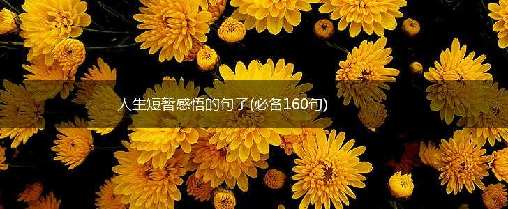 人生短暂感悟的句子(必备160句),第1张