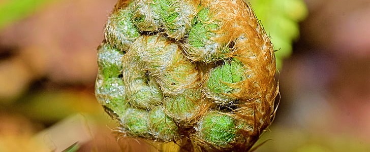 加油的句子(必备150句),第2张