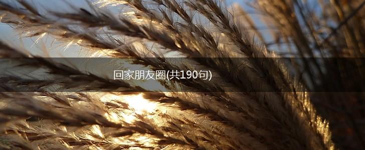 回家朋友圈(共190句),第1张
