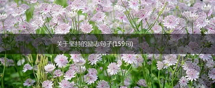 关于坚持的励志句子(159句),第1张